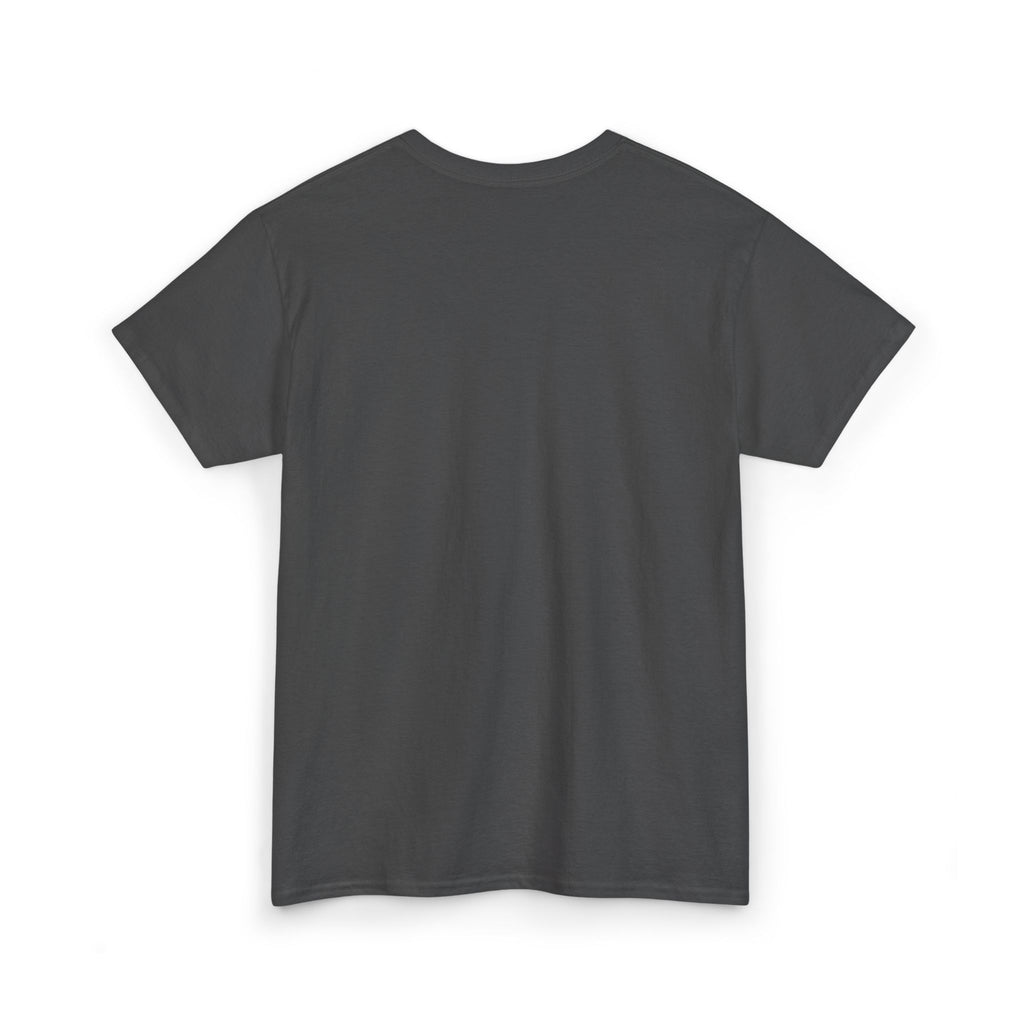 Nice Try Embroidered Heavy Cotton T-shirt (Black/Colours)