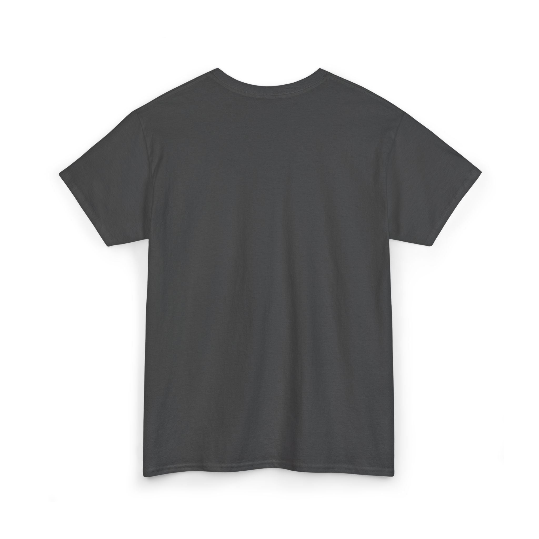Nice Try Embroidered Heavy Cotton T-shirt (Black/Colours)