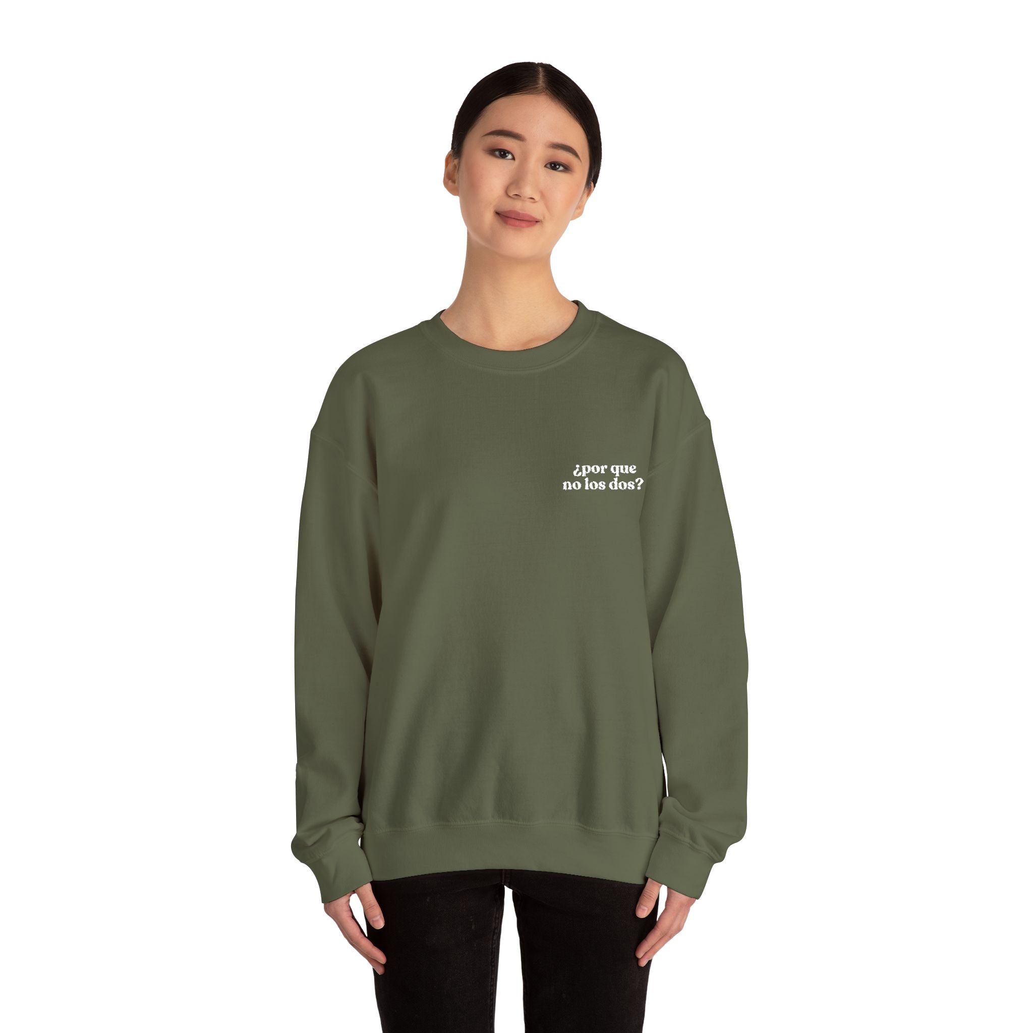 Por Que No Los Dos Embroidered Sweatshirt (Black/Colours)