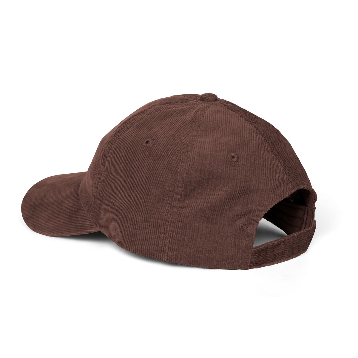 Nice Try Star Embroidered Cap – Vintage Corduroy Smile Baseball Hat