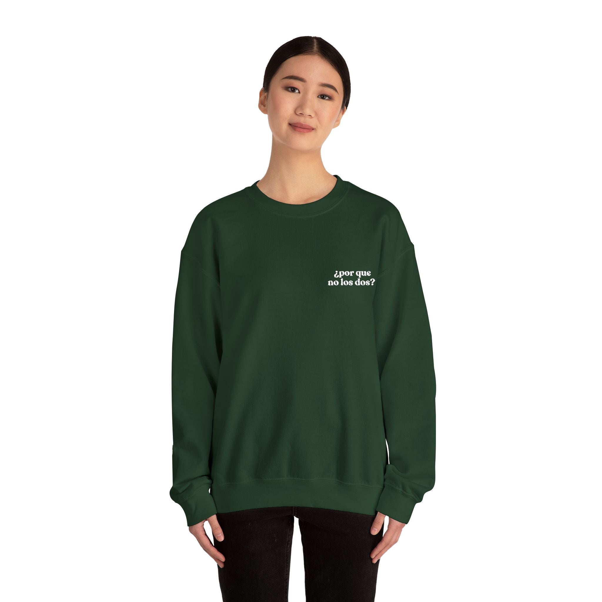 Por Que No Los Dos Embroidered Sweatshirt (Black/Colours)