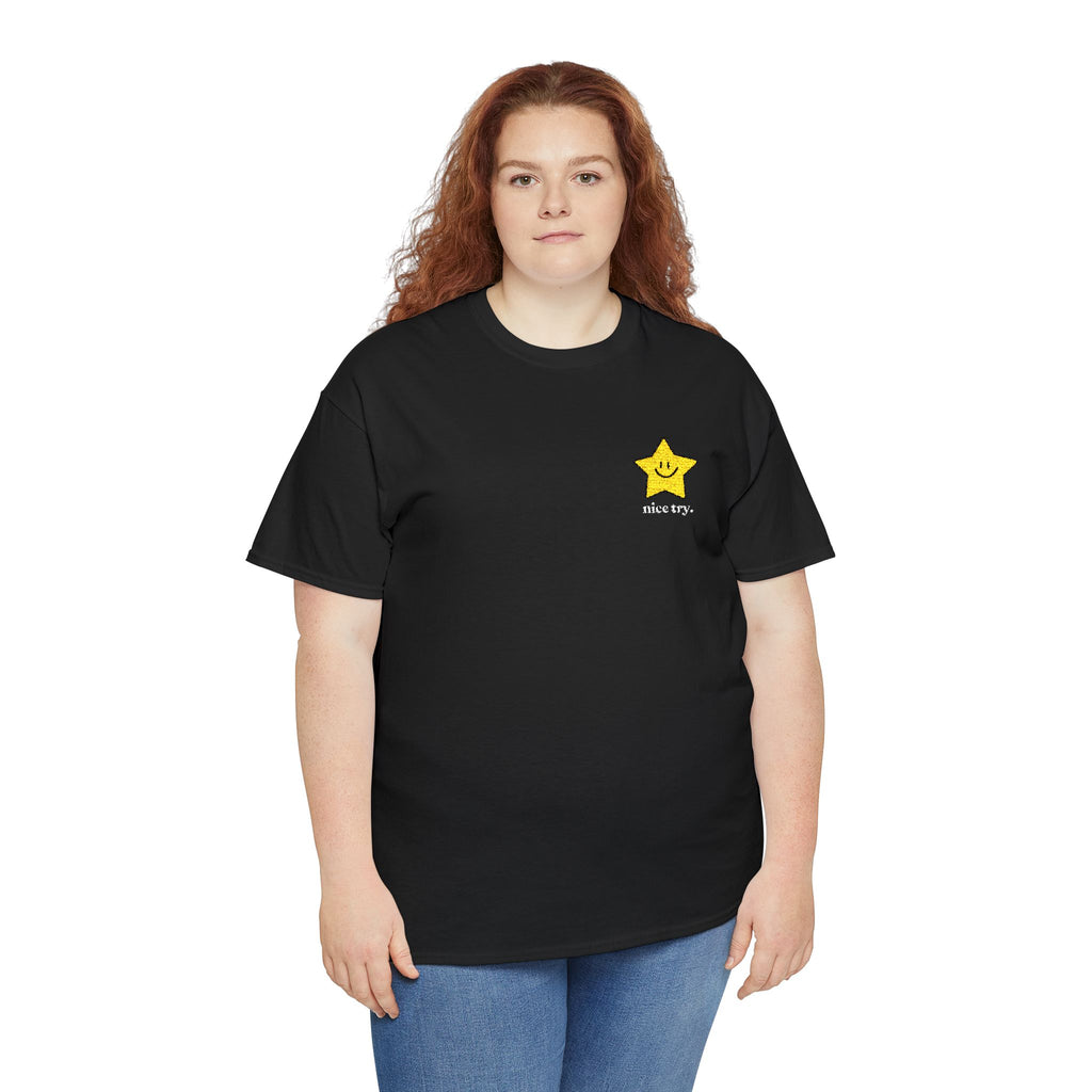 Nice Try Embroidered Heavy Cotton T-shirt (Black/Colours)