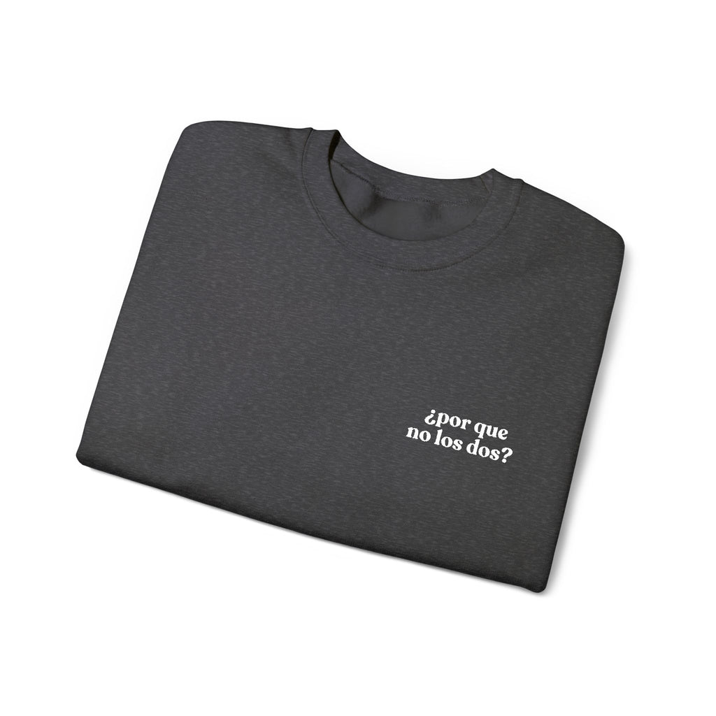 Por Que No Los Dos Embroidered Sweatshirt (Black/Colours)