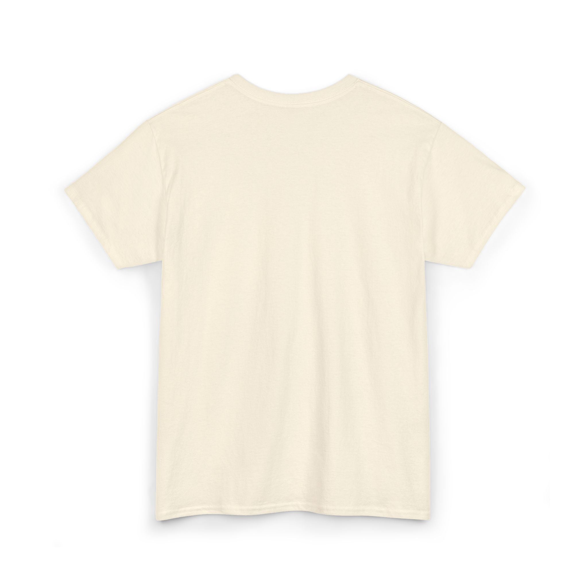Nice Try Embroidered Heavy Cotton T-shirt White/Natural