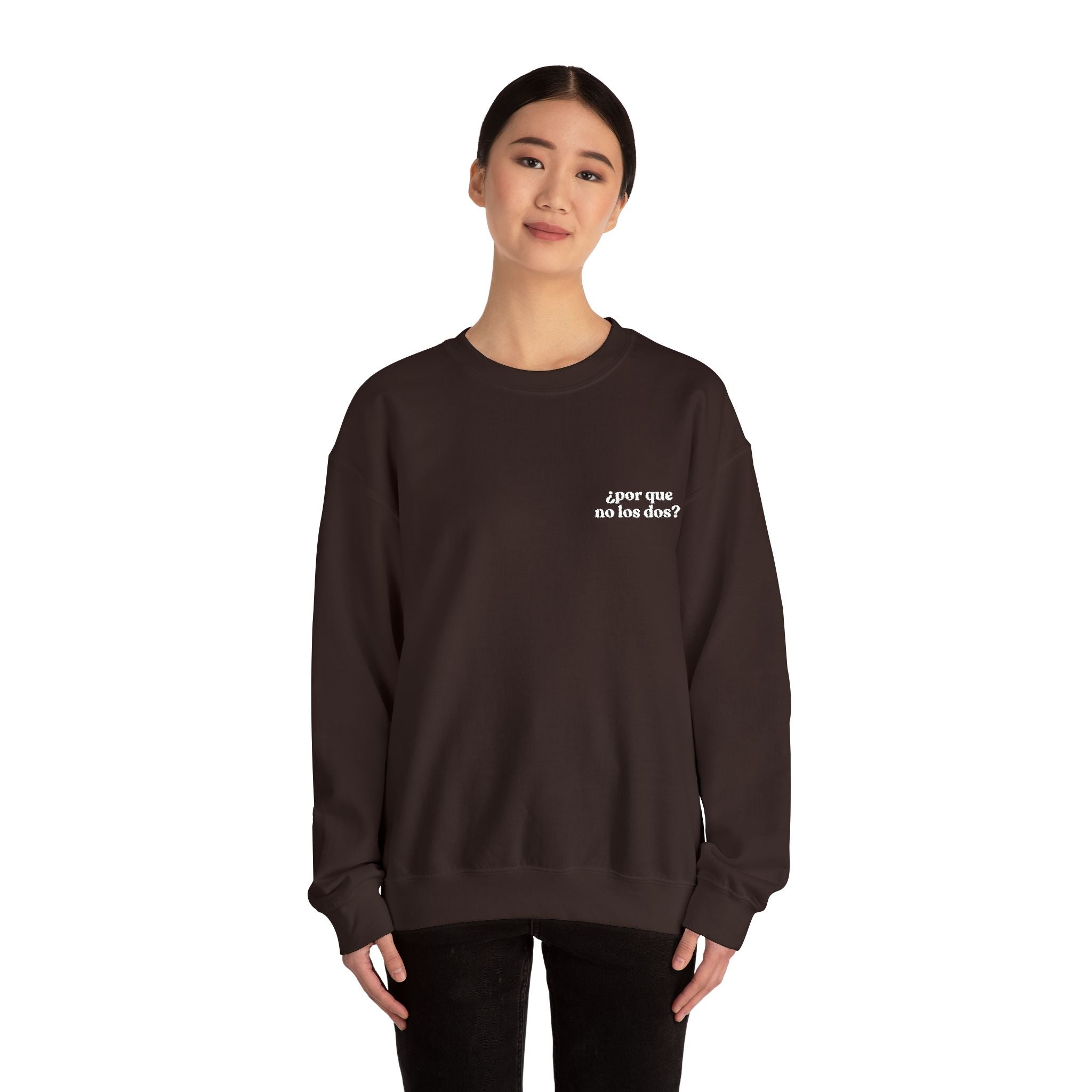 Por Que No Los Dos Embroidered Sweatshirt (Black/Colours)