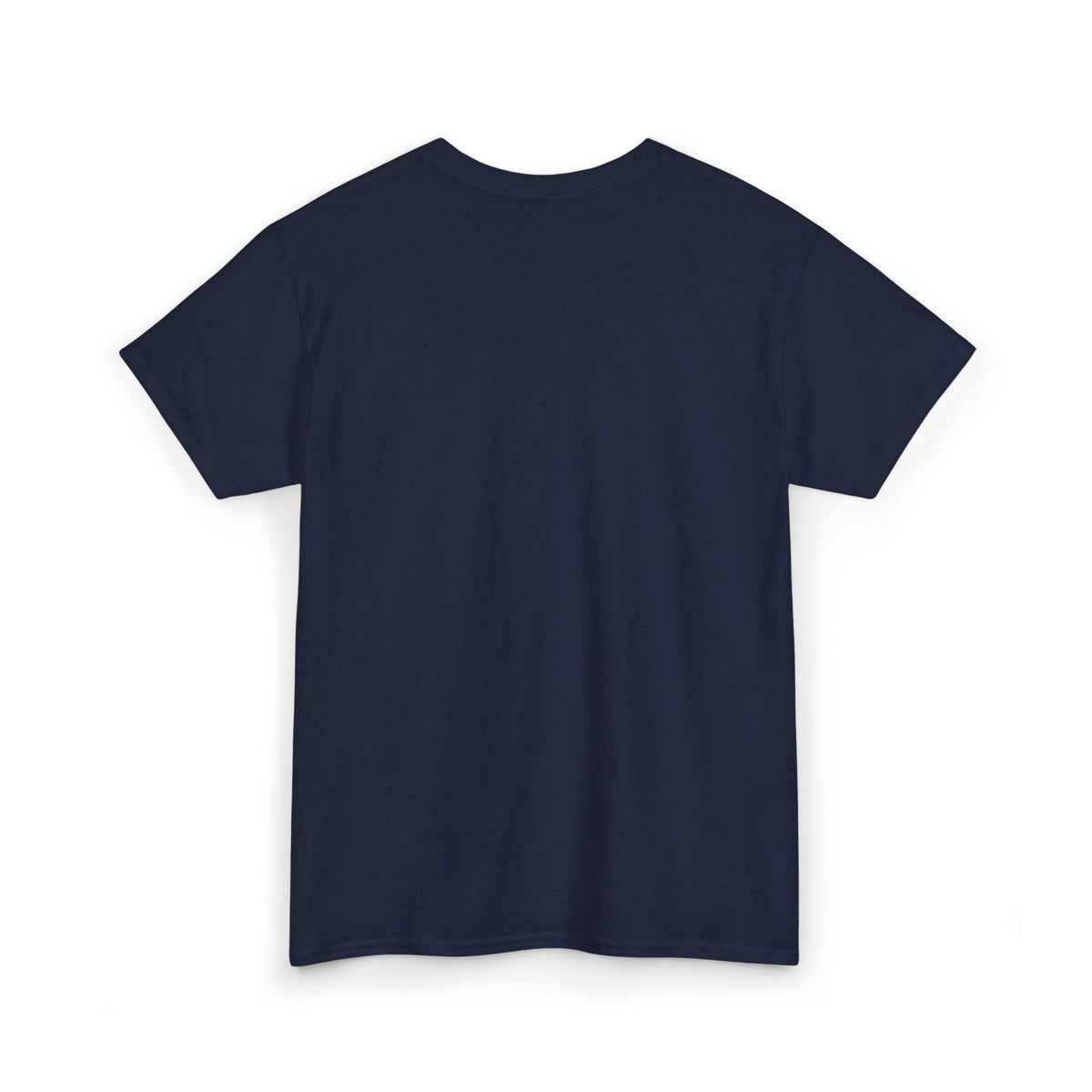 Nice Try Embroidered Heavy Cotton T-shirt (Black/Colours)