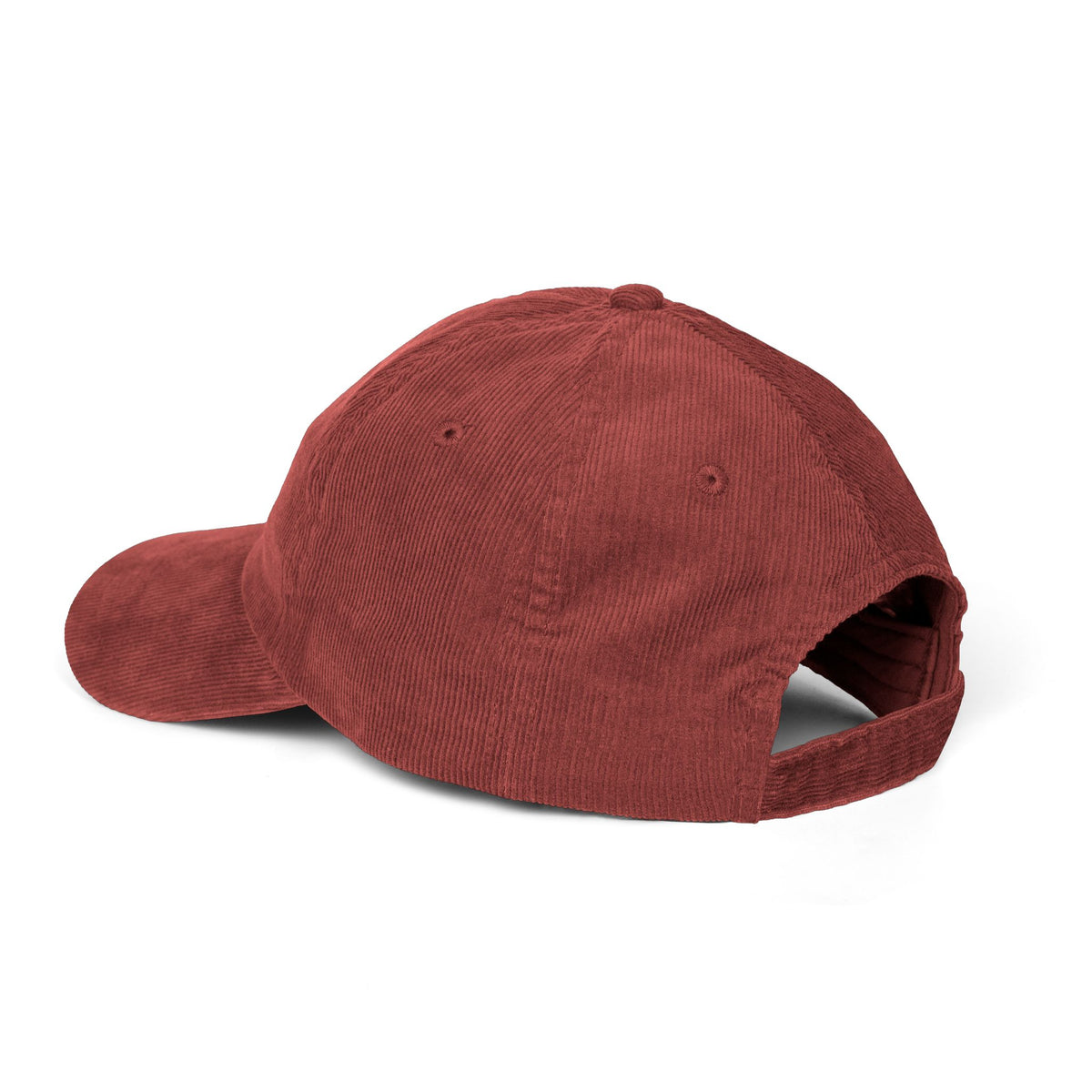 Nice Try Star Embroidered Cap – Vintage Corduroy Smile Baseball Hat