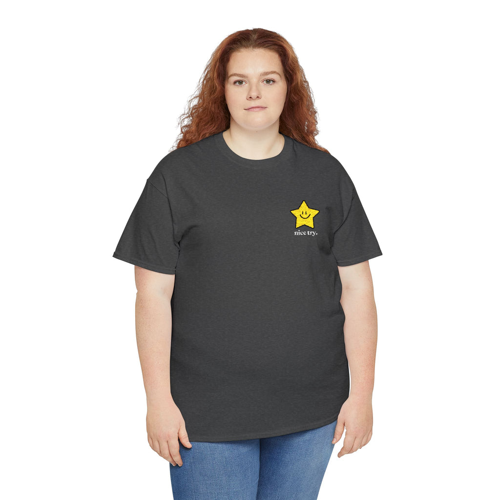 Nice Try Embroidered Heavy Cotton T-shirt (Black/Colours)