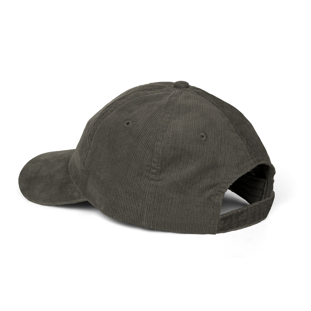 Nice Try Star Embroidered Cap – Vintage Corduroy Smile Baseball Hat