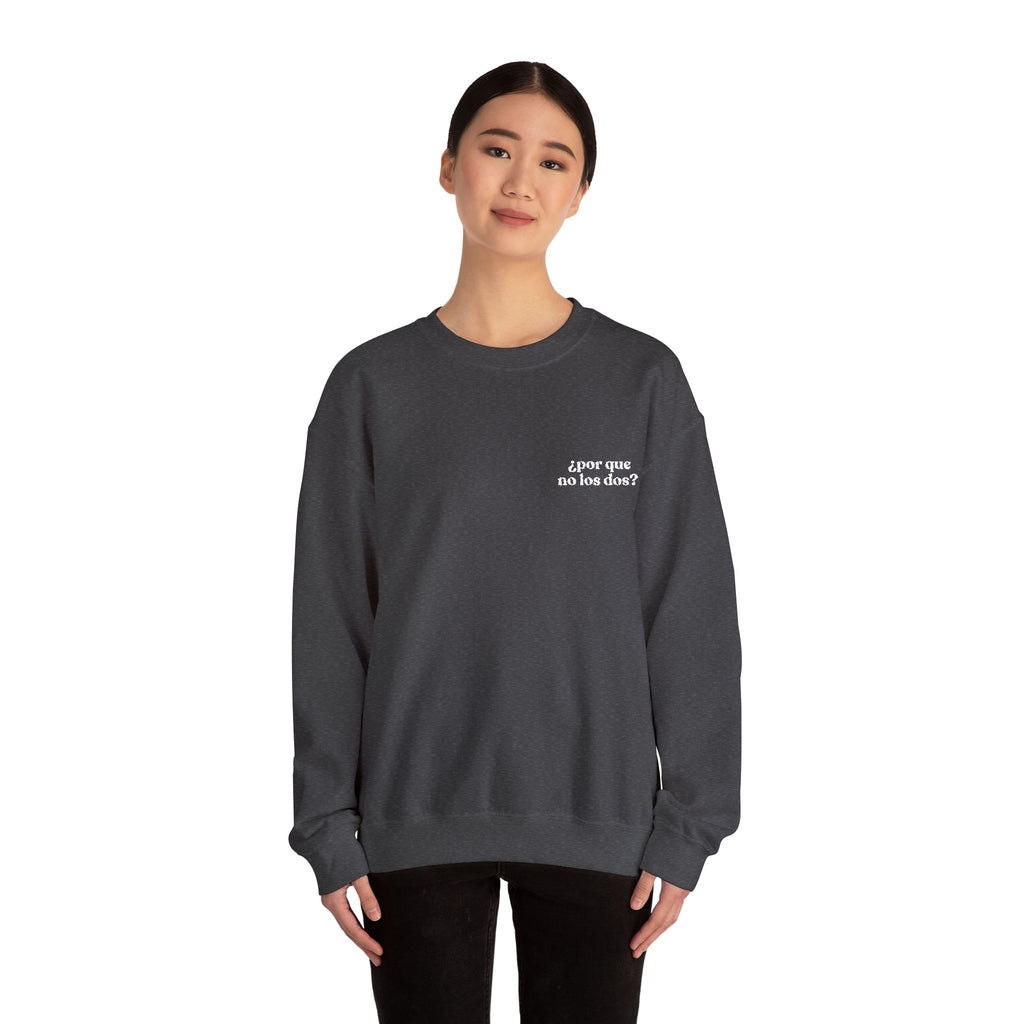 Por Que No Los Dos Embroidered Sweatshirt (Black/Colours)
