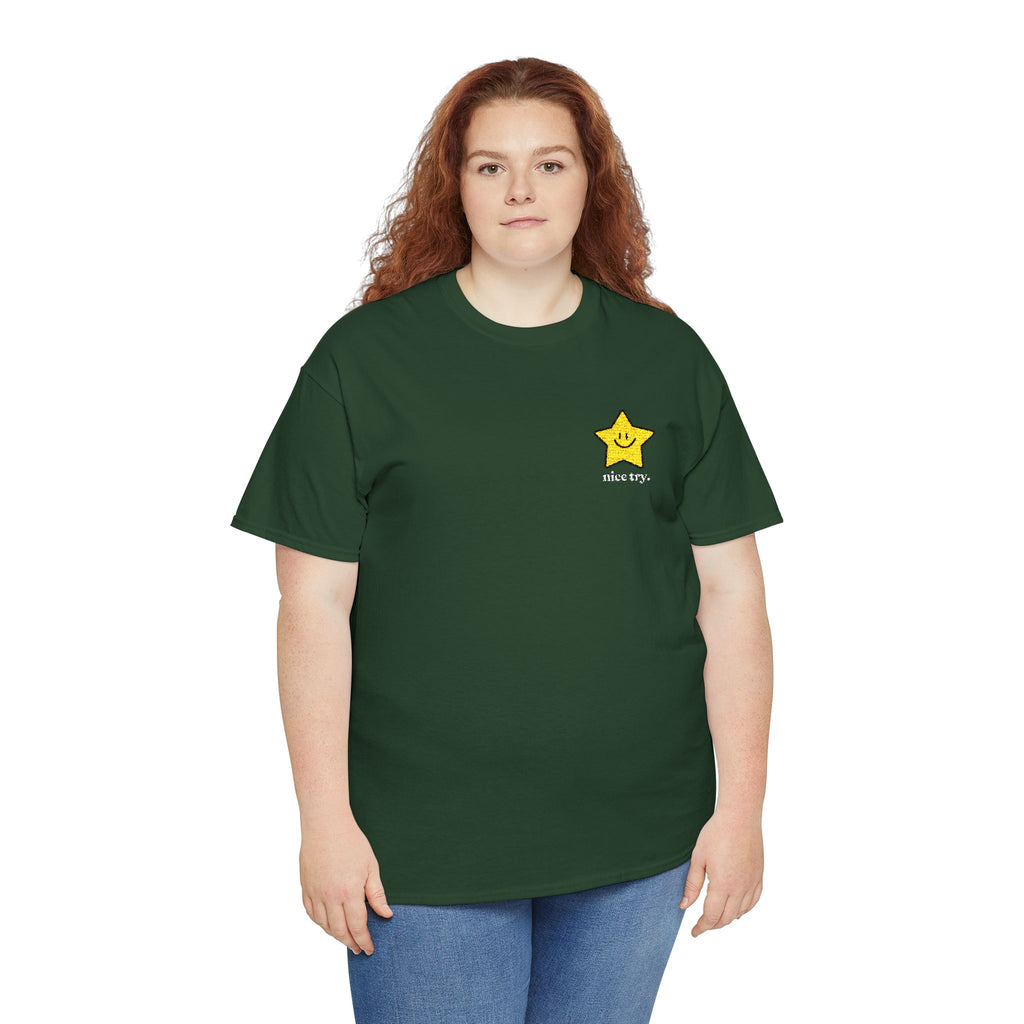 Nice Try Embroidered Heavy Cotton T-shirt (Black/Colours)